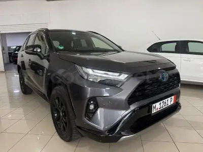 Usado Toyota RAV4 Hybrid