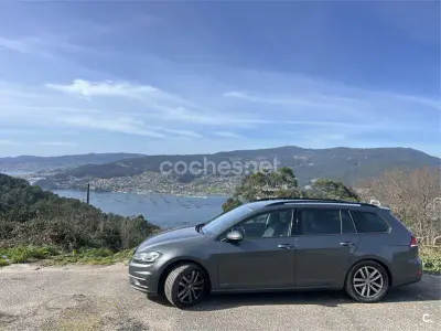 Usado VW Golf VII Advance 115 CV (84 kW) 2019 Gris / plata Familiar