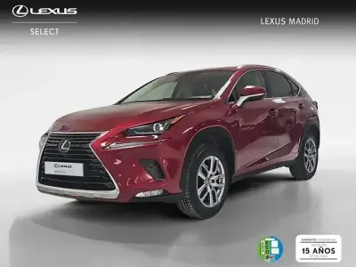 Usado Lexus NX300h Executive Line 197 CV (144 kW) 2020 Rojo SUV