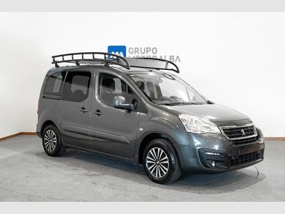 Gris Usado 2018 Peugeot TePee Active Familiar | 14.990 € (Caro)