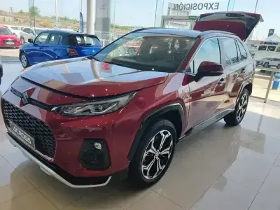 Usado Suzuki Across