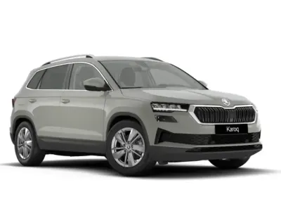 Usado Skoda Karoq