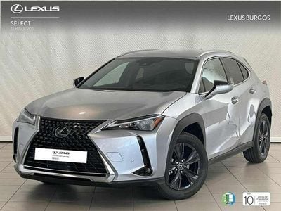 Blanco Usado 2024 Lexus UX 250h SUV | 31.905 € (Precio justo)