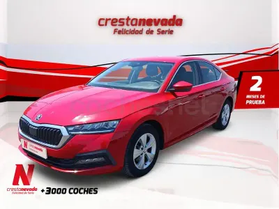 Usado Skoda Octavia