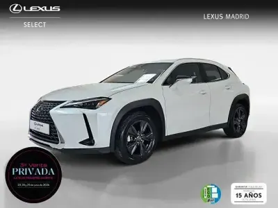 Usado Lexus UX 199 CV (146 kW) 2025 Blanco SUV