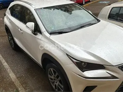 Usado Lexus NX300h Business Edition 197 CV (144 kW) 2020 Blanco SUV