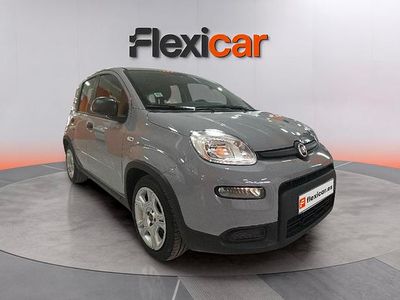 Usado Fiat Panda 71 CV (52 kW) 2023 Gris Utilitario