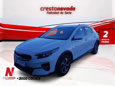 Brugt Kia XCeed 120 HK (88 kW) 2021 SUV