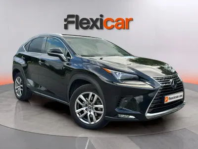 Usado Lexus NX300h Business Edition 197 CV (144 kW) 2019 Negro SUV