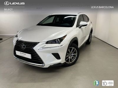 usado Lexus NX300h Executive Kick Power+ Navigation 4wd