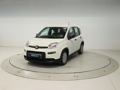 Blanco Usado 2025 Fiat Panda | 12.900 € (Precio justo)