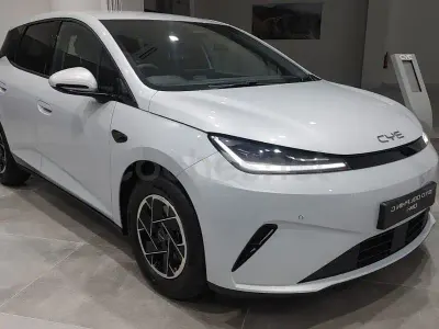 Usado BYD Dolphin