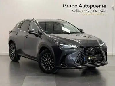 Usado Lexus NX350h Business Edition 242 CV (177 kW) 2023 Gris SUV