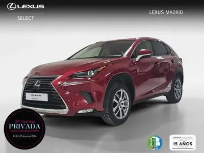 Usado Lexus NX300h Executive Line 197 CV (144 kW) 2020 Rojo SUV