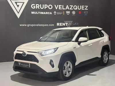 Occasion Toyota RAV4 Hybrid Business Edition 222 ch (163 kW) 2020 Blanc SUV