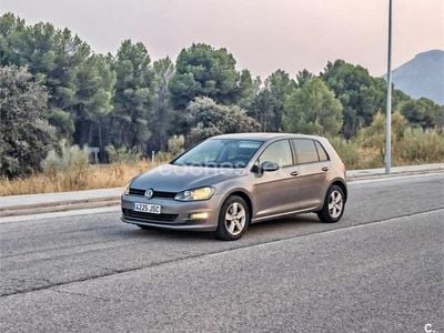 Usado VW Golf Sportsvan Business 110 CV (80 kW) 2016 Gris / plata Monovolumen