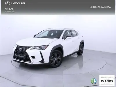 Usado Lexus UX 250h Business Edition 184 CV (135 kW) 2022 Blanco SUV