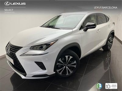 Usado Lexus NX300h 197 CV (144 kW) 2021 Blanco SUV