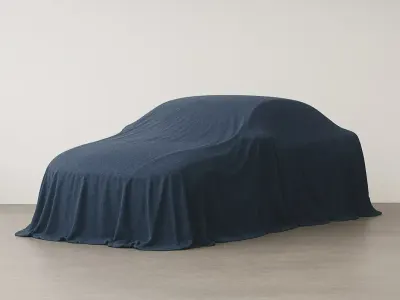 Usado BMW 318