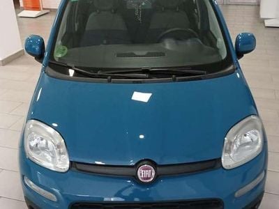 Usado Fiat Panda Lounge 69 CV (50 kW) 2012 Utilitario