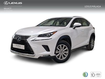 Blanco Usado 2019 Lexus NX300h Business Edition SUV | 29.900 € (Un poco caro)