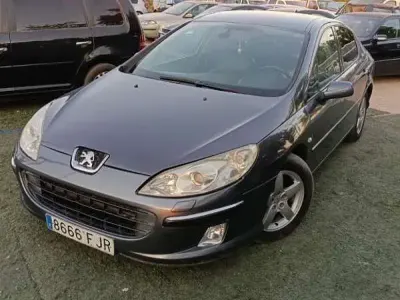 Usado Peugeot 407