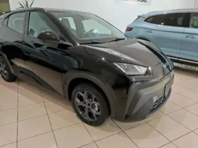 Usado BYD Dolphin Surf