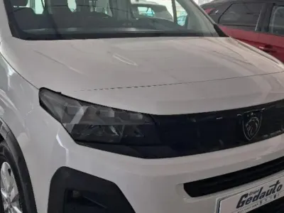 Usado Peugeot Rifter