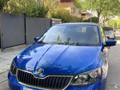 Usado Skoda Fabia
