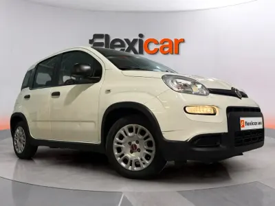 Usado Fiat Panda