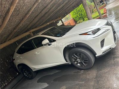 Usado Lexus NX300h Executive Line 197 CV (144 kW) 2020 Blanco SUV