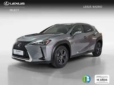 Usado Lexus UX Business Edition 184 CV (135 kW) 2020 Gris SUV