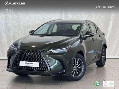 Usado Lexus NX350h 243 CV (178 kW) 2025 Verde SUV