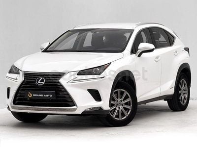 Usado Lexus NX300h Business Edition 197 CV (144 kW) 2018 Blanco SUV