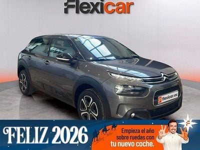 Gris Usado 2020 Citroën C4 Cactus Feel Utilitario | 12.490 € (Precio justo)