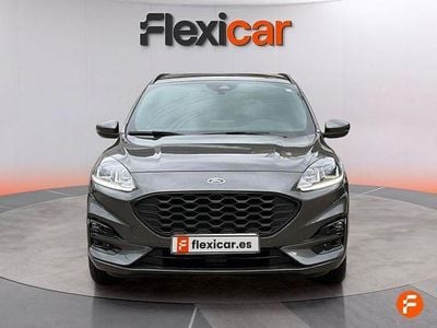 Usado Ford Kuga ST-Line 120 CV (88 kW) 2024 Gris SUV