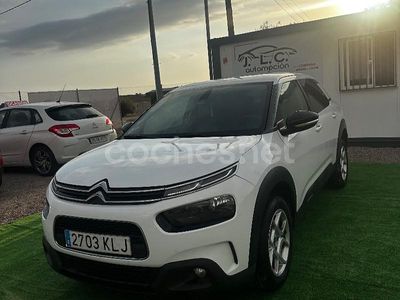 Blanco Usado 2018 Citroën C4 Cactus Shine Utilitario | 11.500 € (Caro)