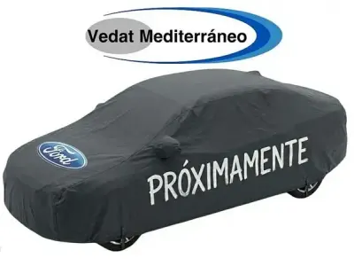 Usado Ford Puma