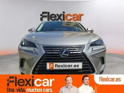 Usado Lexus NX300h Business Edition 197 CV (144 kW) 2020 Gris SUV