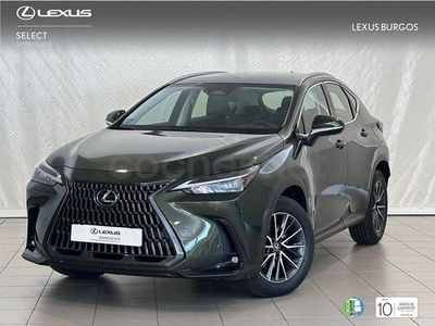 Usado Lexus NX350h 243 CV (178 kW) 2025 Verde SUV