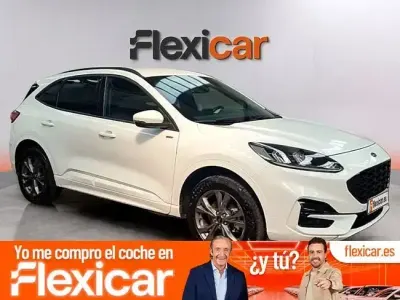 Usado Ford Kuga ST-Line 225 CV (165 kW) 2024 Blanco SUV