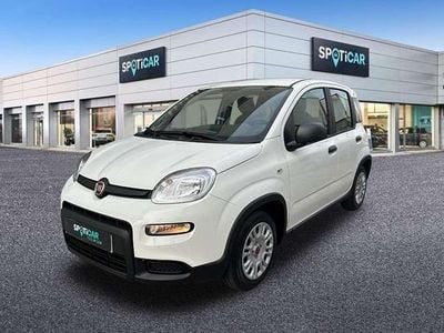 Usado Fiat Panda Comfort 71 CV (52 kW) 2023 Blanco Utilitario