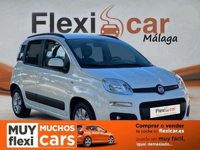 usado Fiat Panda Cross 1.2 City 4x2