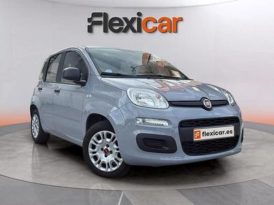 Usado Fiat Panda 71 CV (52 kW) 2022 Gris Utilitario