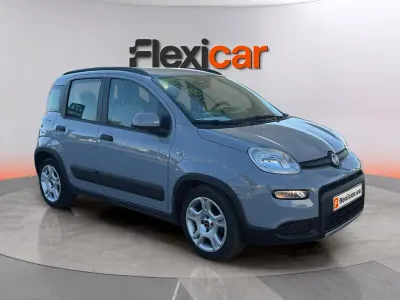 Usado Fiat Panda City Life 71 CV (52 kW) 2023 Gris Utilitario