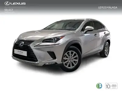 Usado Lexus NX300h Business Edition 197 CV (144 kW) 2018 Gris SUV