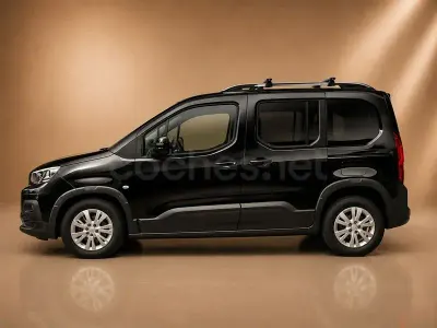 Usado Peugeot Rifter