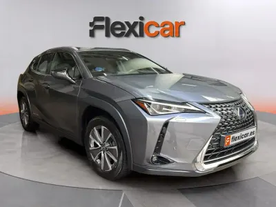 Usado Lexus UX 300e 150 kW (204 CV) 2024 Gris SUV