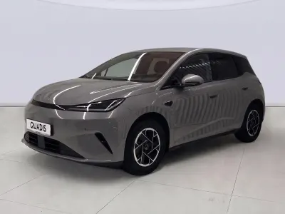 Usado BYD Dolphin