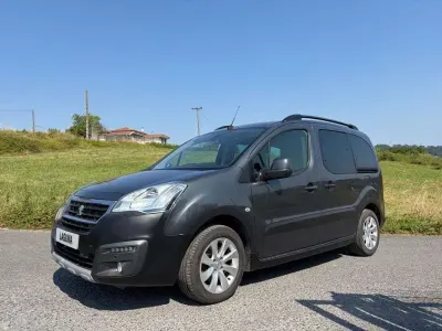 Usado Peugeot TePee